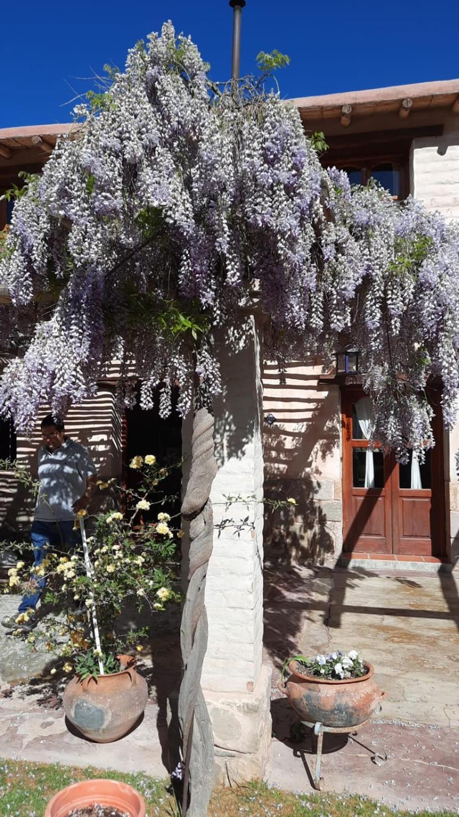 Villa El Ensueno Tilcara Exterior foto